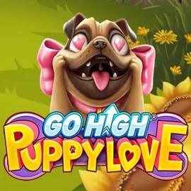Go High Puppy Love logo by RubyPlay 1Bet4Win Casino