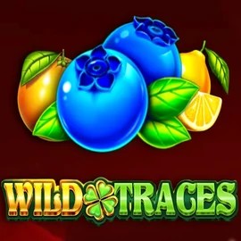 Play the Wild Traces slot by Amusnet Interactive on 1Bet4Win Casino